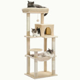 Alberi per gatti di medie dimensioni