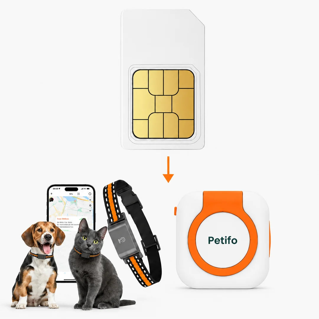 SIM card pointing toward a Petifo tracking device alongside a smartphone app screen, a cat, a dog, and an orange-accented collar.