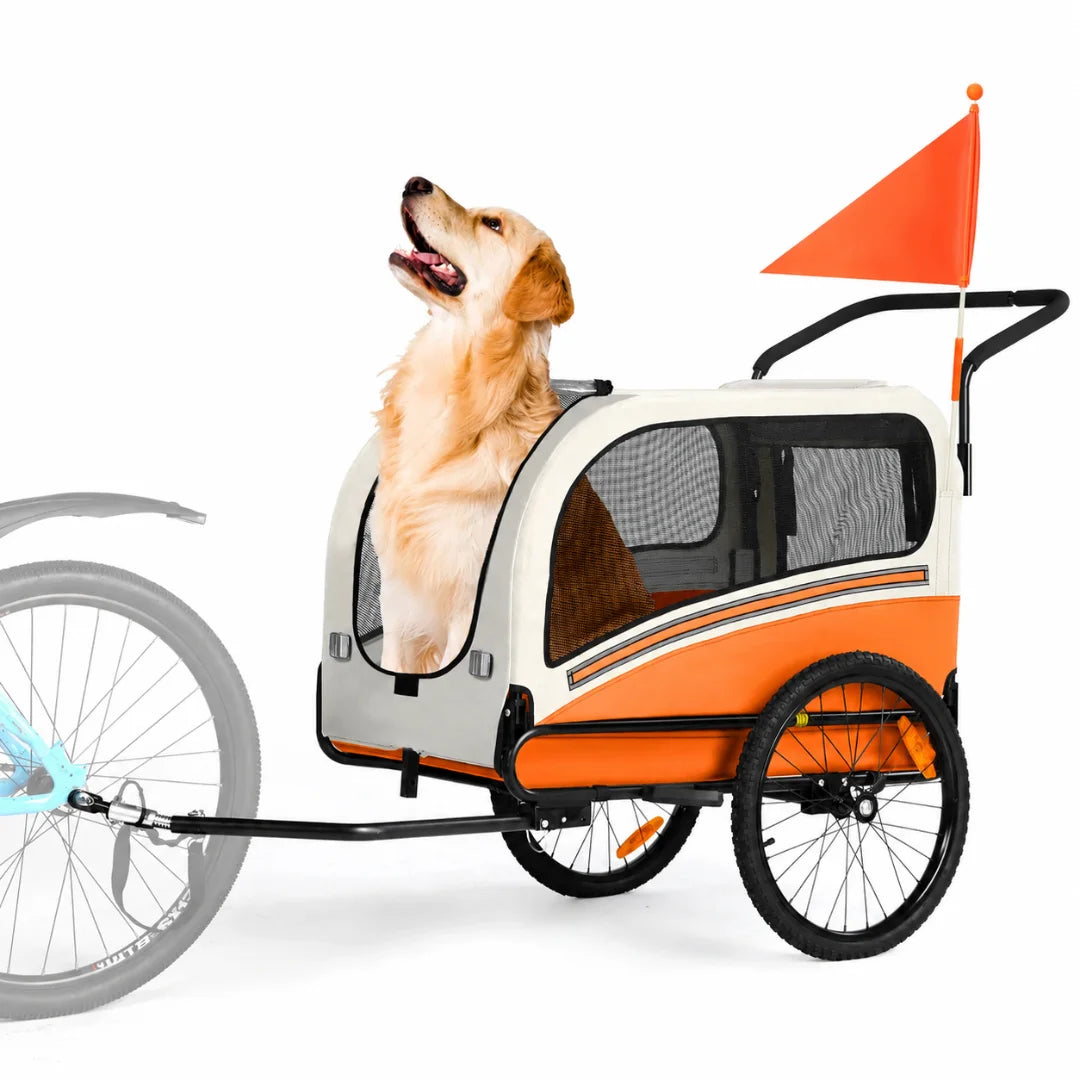 An orange and white 2-in-1 pet bike trailer with a safety flag, designed to support dogs up to 40 kg.