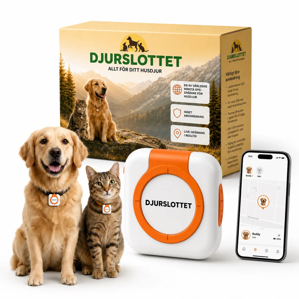 Petracka GPS Tracker for dogs and cats without subscription - Petifo