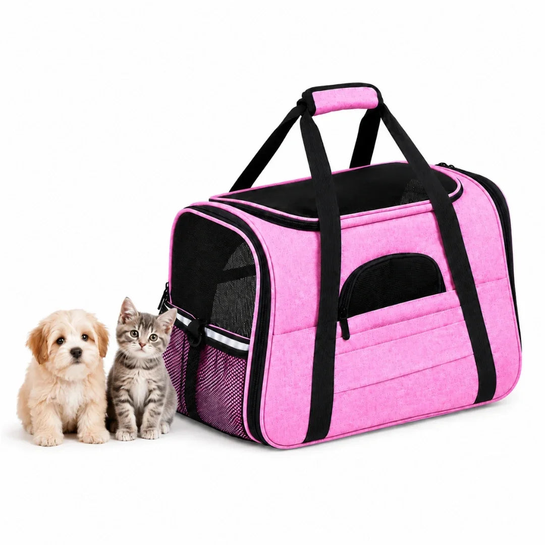Cute puppy and kitten sitting beside a vibrant pink Petifo pet carrier on a white backgroun