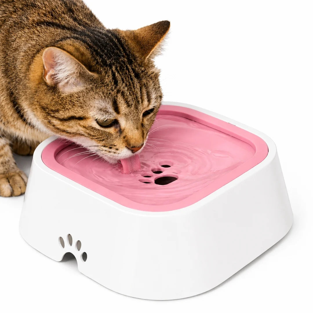 Dog drinking water from pink Els Pet no-spill floating disk bowl