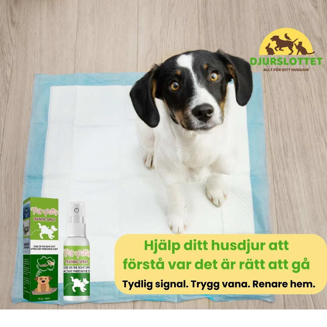 Toilet Training Spray for puppies - Petifo