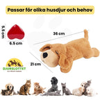 Product size of Calming dog toy with heartbeat - Petifo