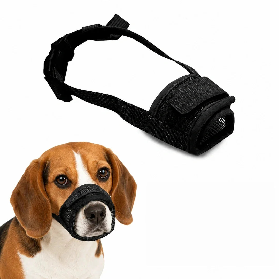Black mesh dog muzzle showcased next to a beagle wearing the properly fitted size.