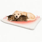A puppy and a kitten sleeping together on a white self-warming pet mat with visual red heat waves on the sides.