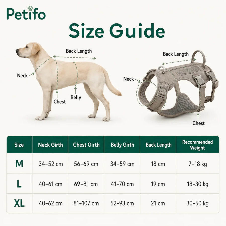 Questa guida alle taglie per la pettorina per cani ProSafe fornisce le misure di collo, torace, pancia e lunghezza della schiena, insieme agli intervalli di peso consigliati per le taglie M, L e XL.
