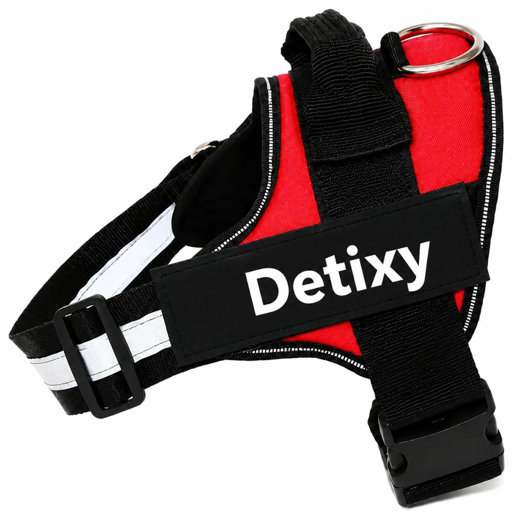 A bold red reflective dog harness showing the side adjustment buckle, reflective stitching on the strap, and a "Detixy" label.