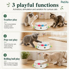Three-step feature overview showcasing feather play, pop-out teasers, and rolling ball tracks for curious cats.