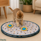 Cute Scottish Fold cat touching a circular patterned cat play mat with interactive holes and rolling balls inside.