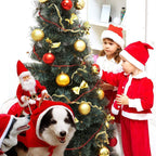 Father Christmas Costume for Dogs and Cats - Petifo