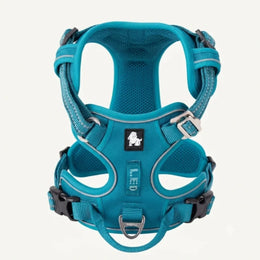 Azzurro chiaro
