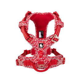 Rosso papavero