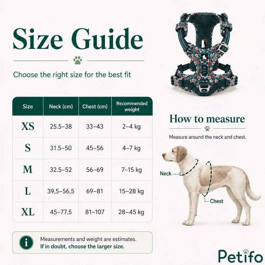 Tabella completa delle taglie delle pettorine per animali e guida alla misurazione, con dimensioni dalla taglia extra small alla extra large e un riferimento visivo per il cane.