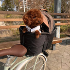 cykelkorg_for_hundar_miljobild - Petifo