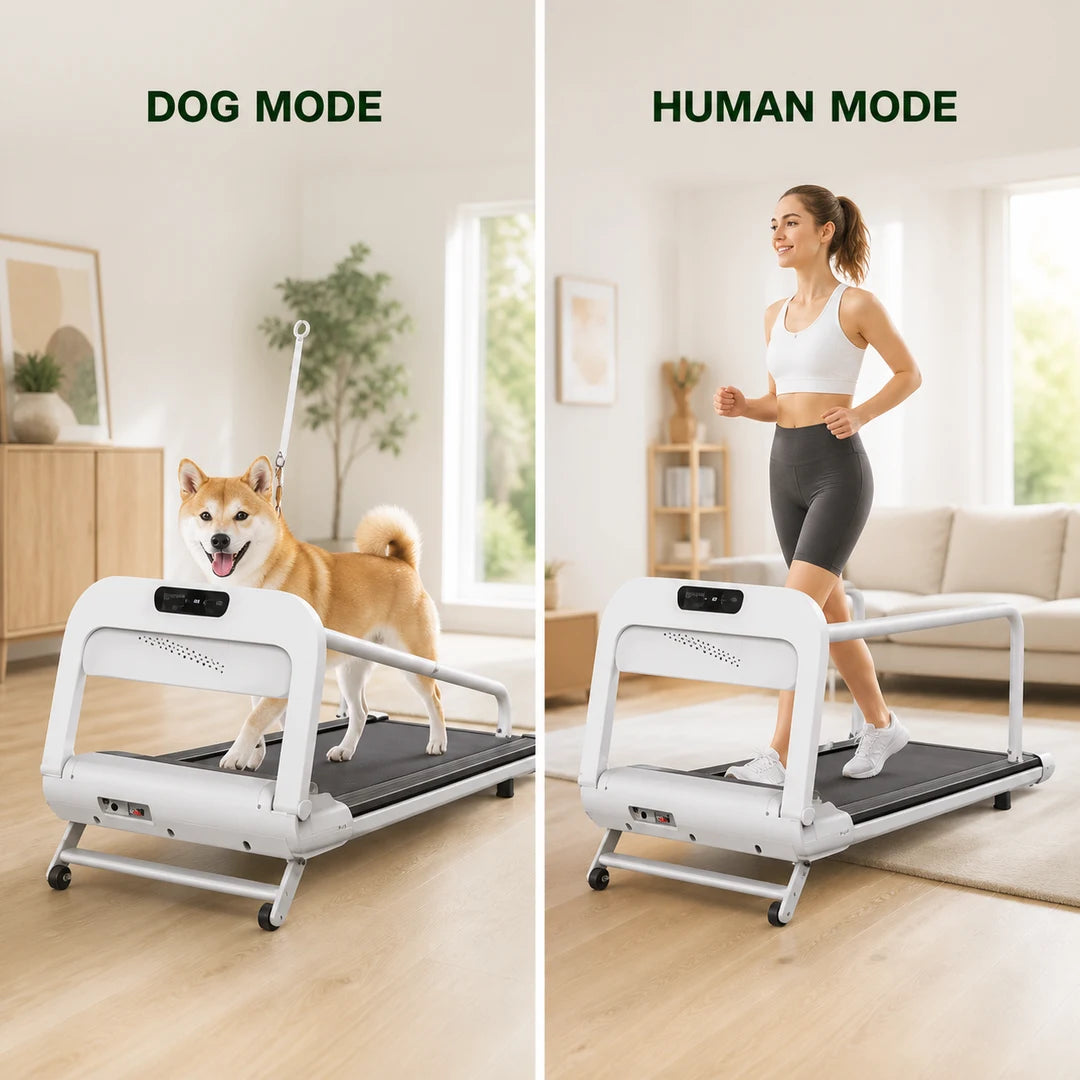 Modalità tapis roulant 2 in 1 per cane e persona