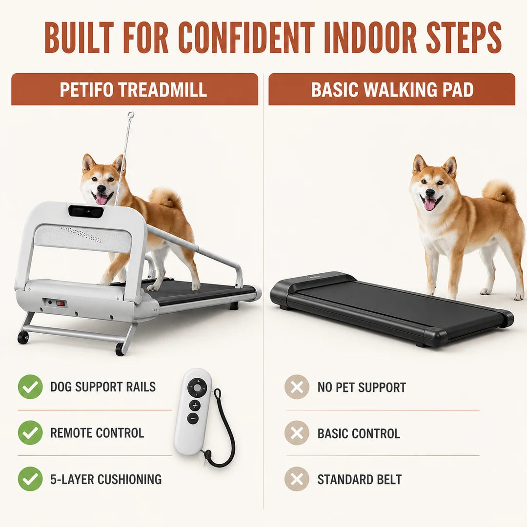 Tapis roulant Petifo per cani confrontato con un tappeto da camminata base