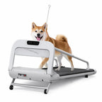 Tapis roulant pieghevole per cani con un cane in cammino