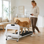 Tapis roulant per cani da interno con telecomando