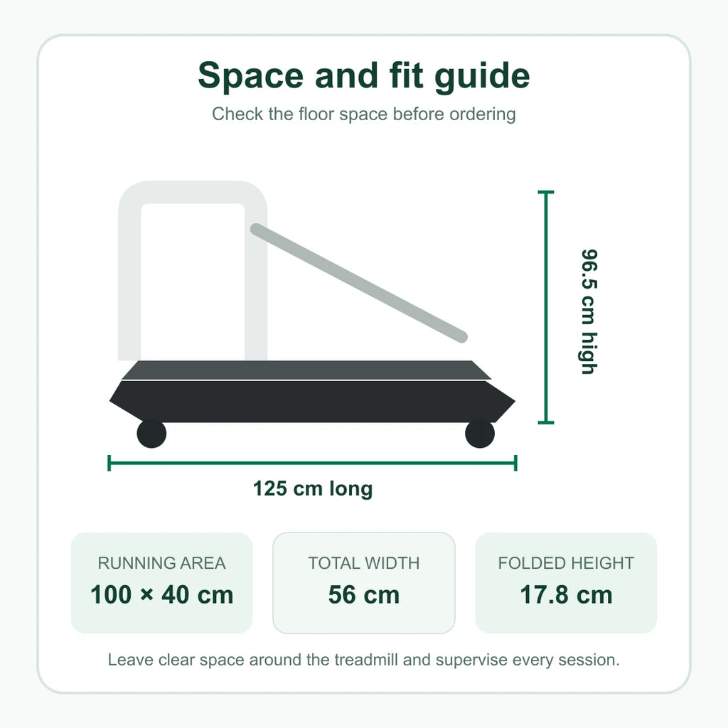 Dimensioni del tapis roulant per cani e della superficie di corsa
