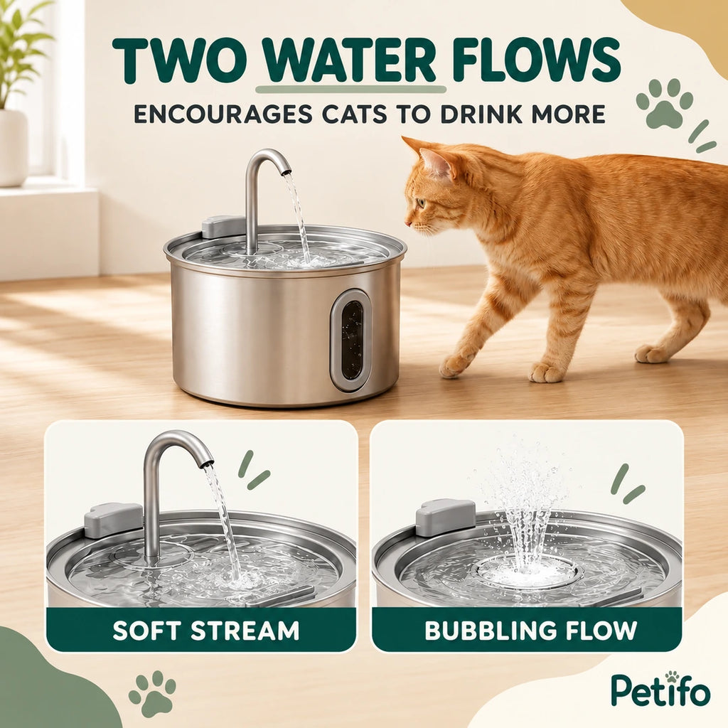 PawHut 2.5 L Cat Water Fountain – two flows - Petifo
