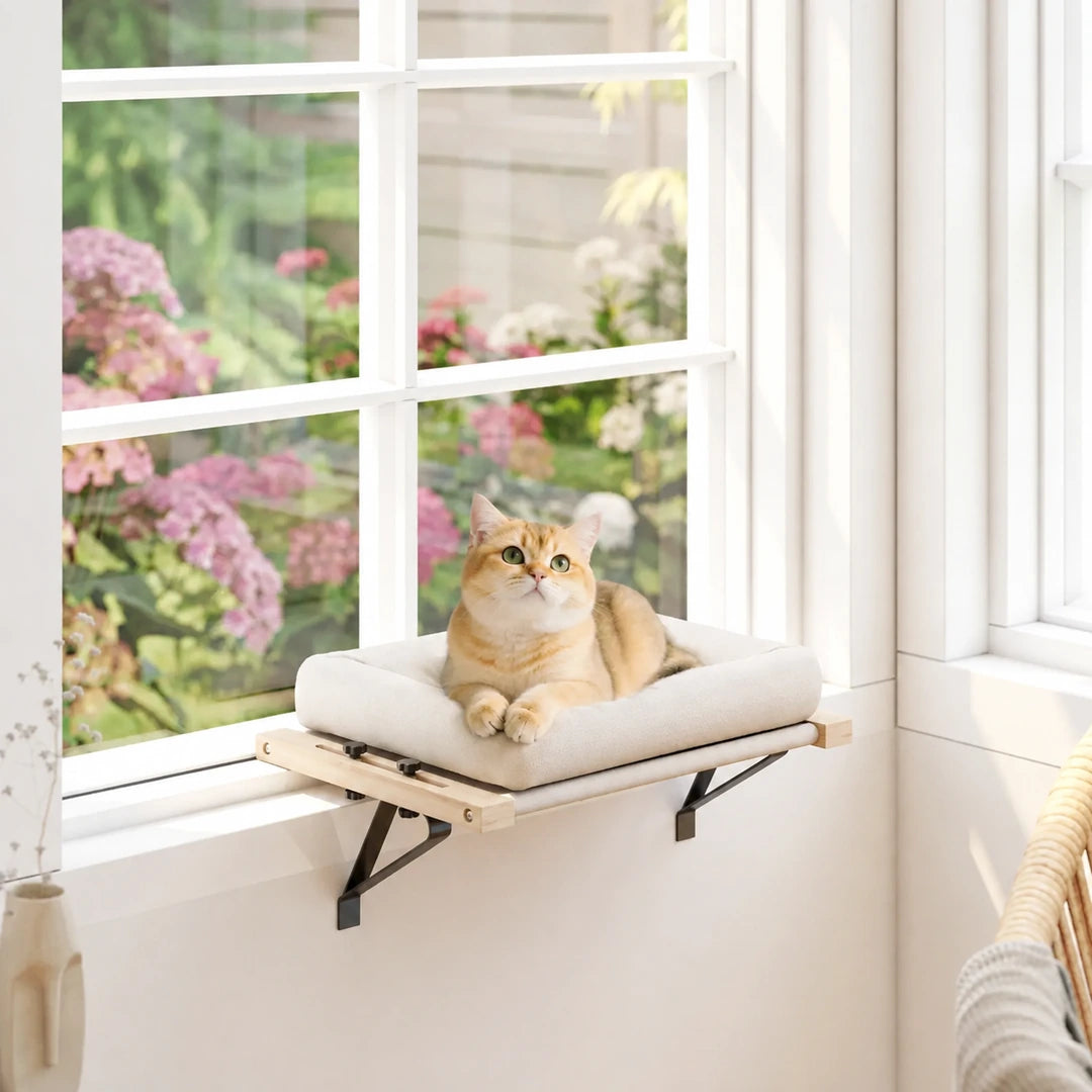Cat relaxing on the PawHut window bed beside a bright window - Petifo