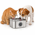 Cat and small dog drinking together from the PawHut 3.2 L stainless-steel pet water fountain - Petifo