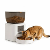 Distributore automatico di cibo per animali PawHut da 4 L con videocamera e app
