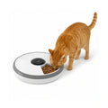 PawHut 6-meal pet feeder: Orange cat eating from a six-meal automatic pet feeder - Petifo