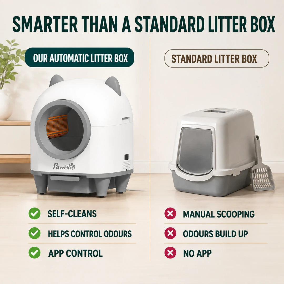Comparison of the PawHut automatic litter box and a standard tray - Petifo