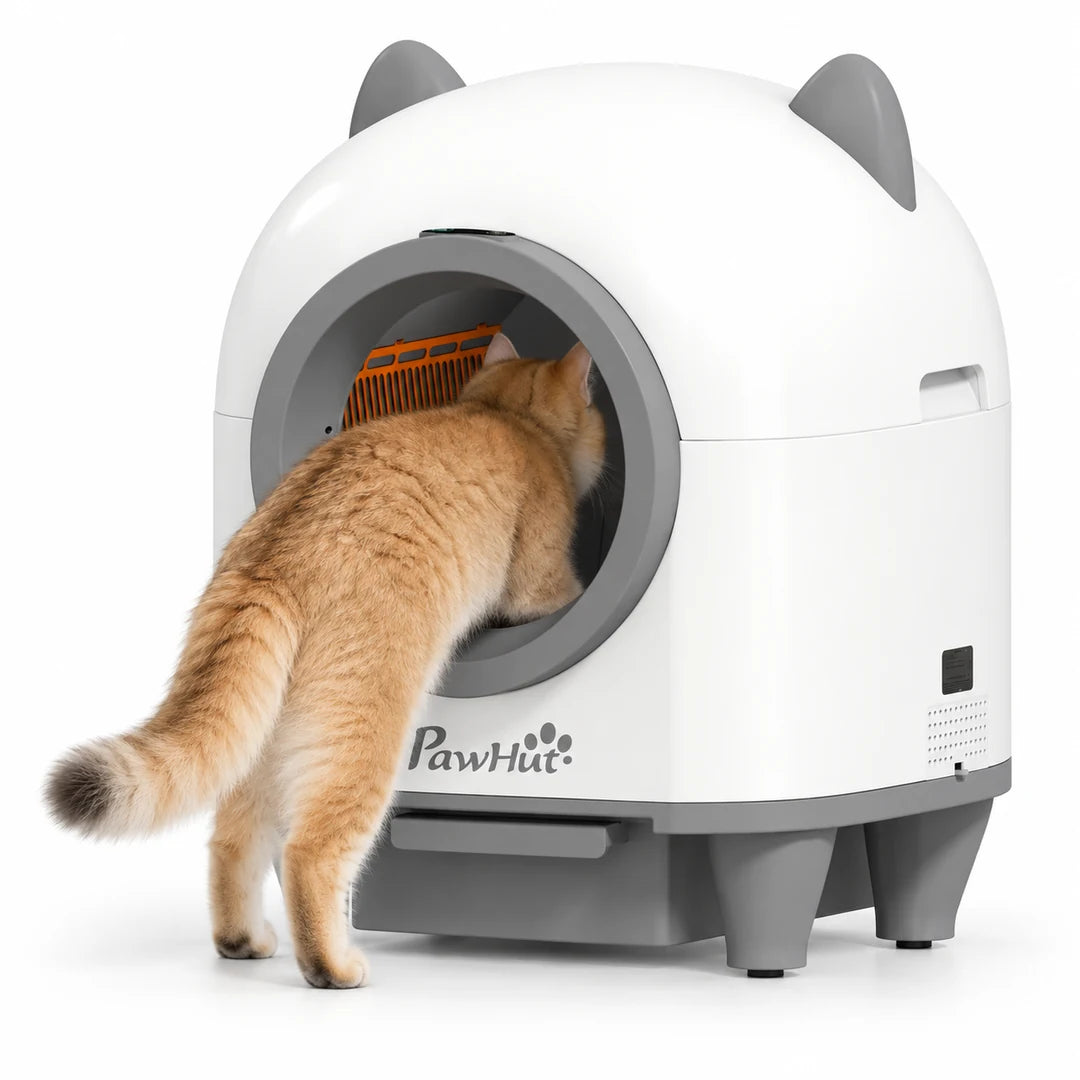 Cat entering the PawHut Self-Cleaning Litter Box on white - Petifo