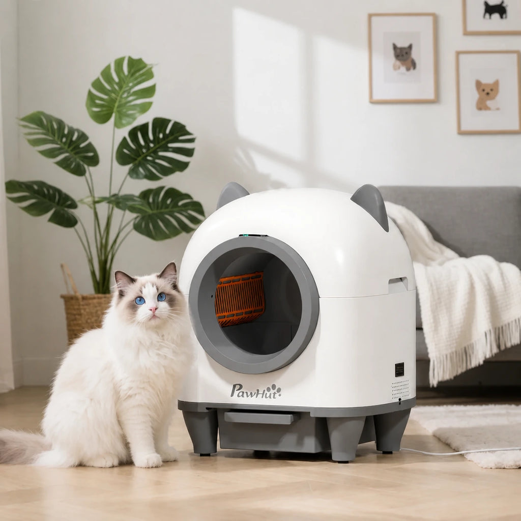 PawHut automatic litter box in a bright home with a cat - Petifo
