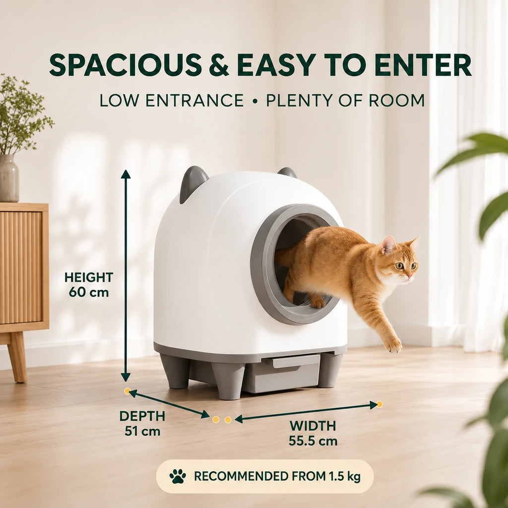 PawHut automatic self-cleaning litter box size guide - Petifo