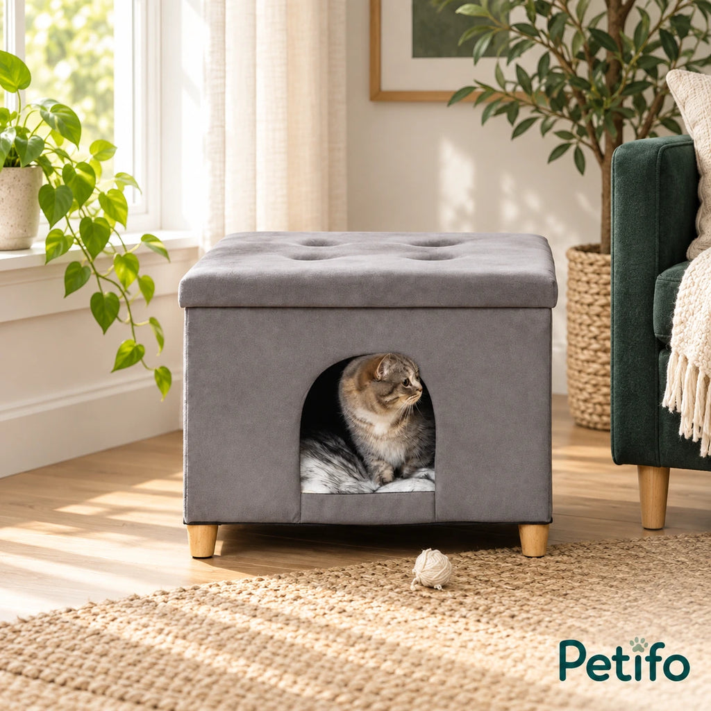 PawHut Cat House & Footstool – window lifestyle - Petifo