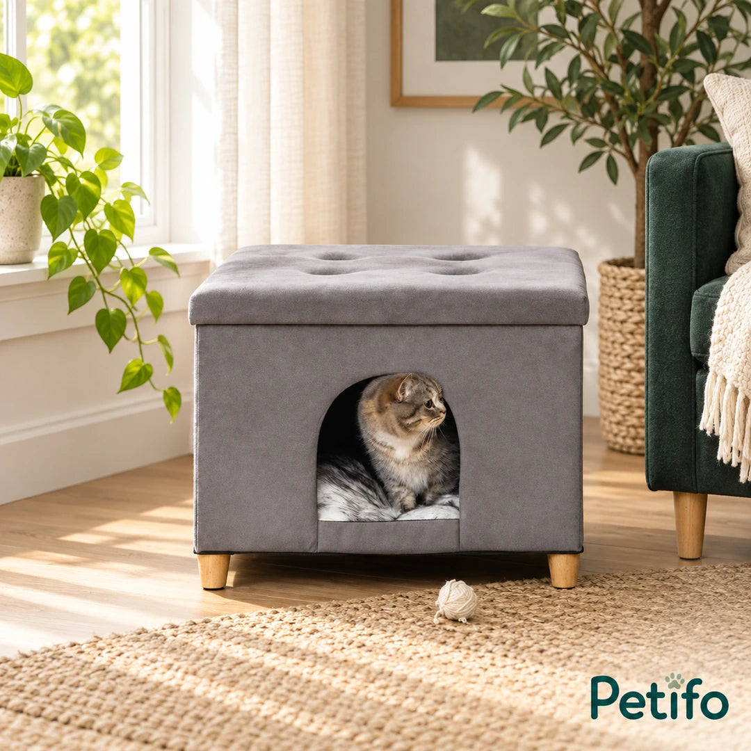 PawHut Cat House & Footstool – window lifestyle - Petifo