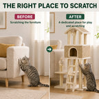 Before and after comparison of scratching areas for a cat - Petifo