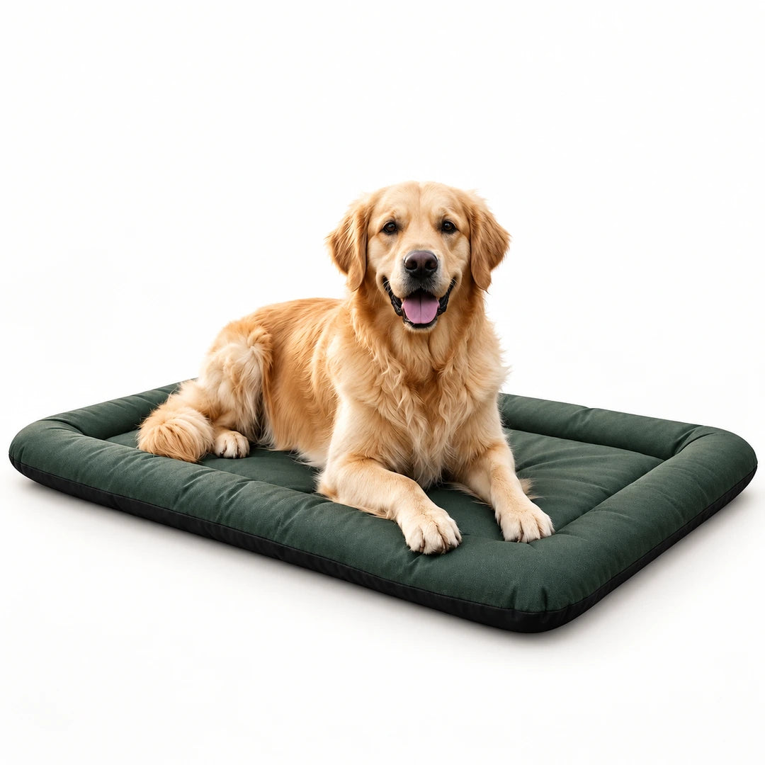 PawHut Foldable Dog Bed – hero - Petifo