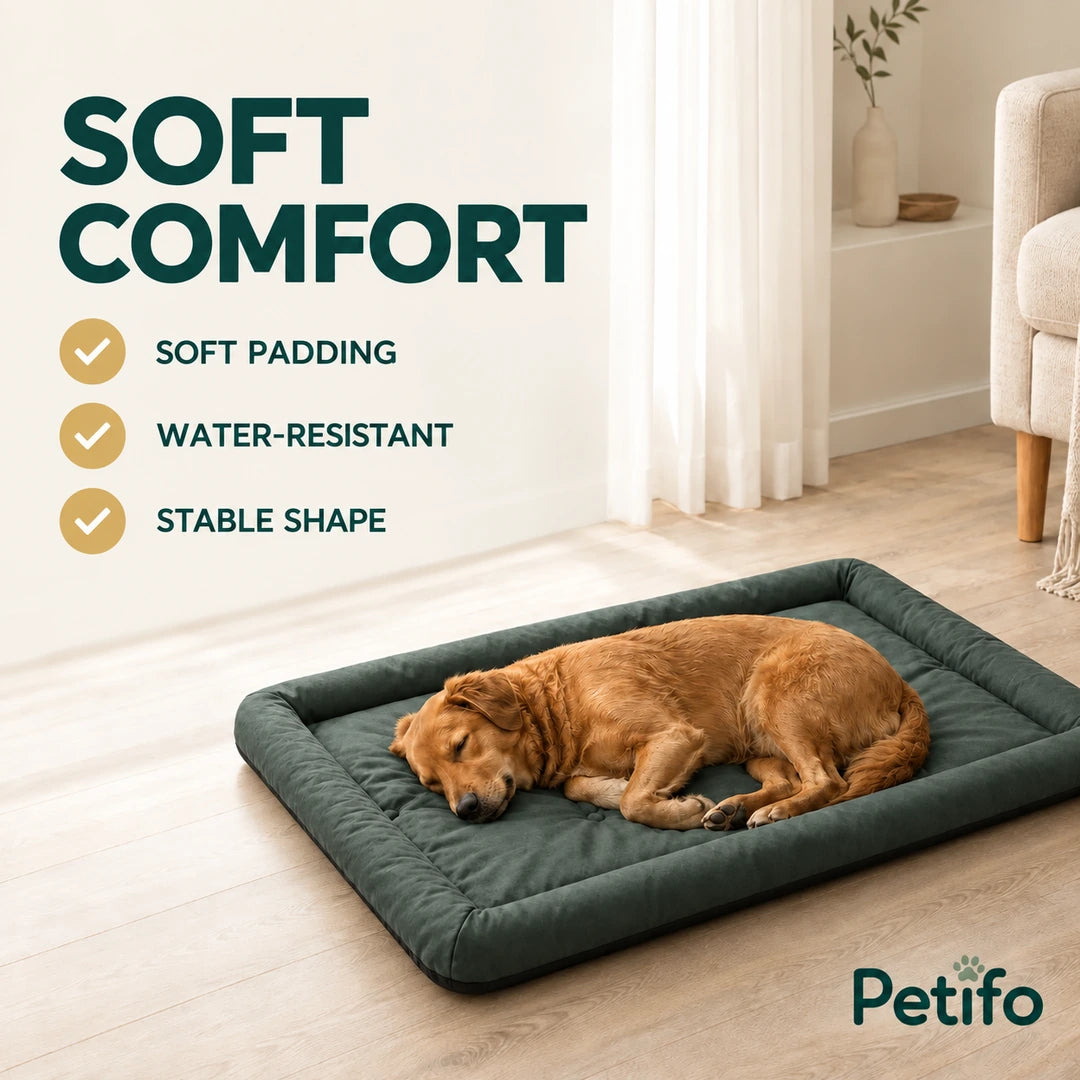 PawHut Foldable Dog Bed – soft comfort - Petifo