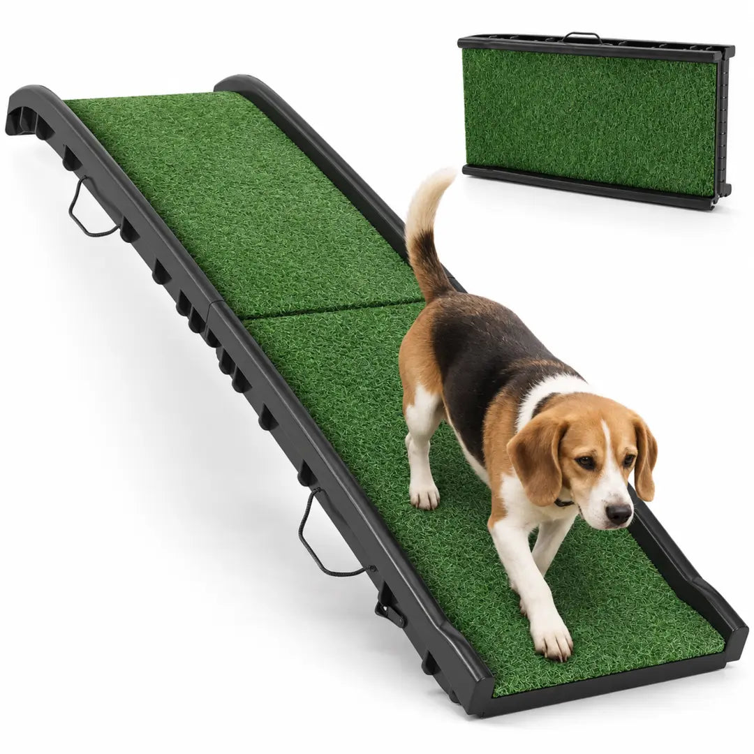 PawHut grass dog ramp – product view with dog – Petifo