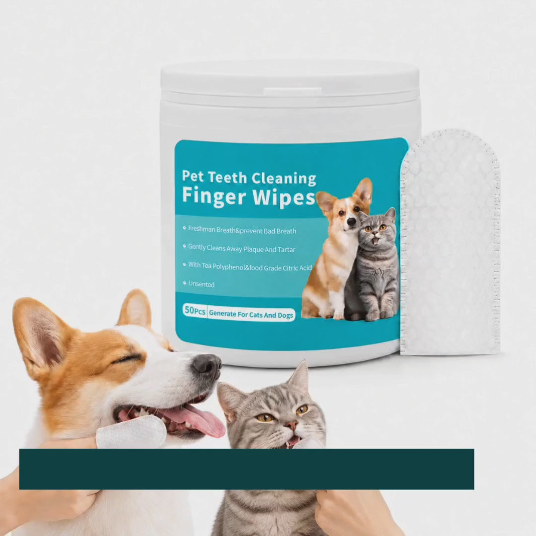 Removing plaque from a dog's teeth with the TailCare dental cleaner – Petifo