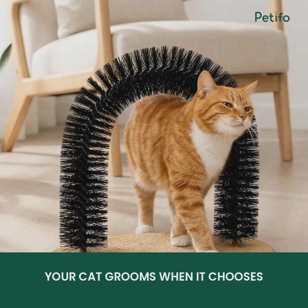 Purrnivo Cat Self-Groomer demonstration