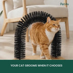 Purrnivo Cat Self-Groomer demonstration