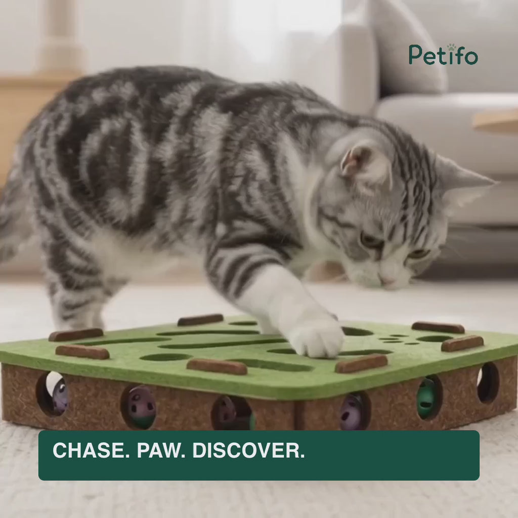 Cat playing with the concealed bell ball inside the Purrnivo felt puzzle - Petifo