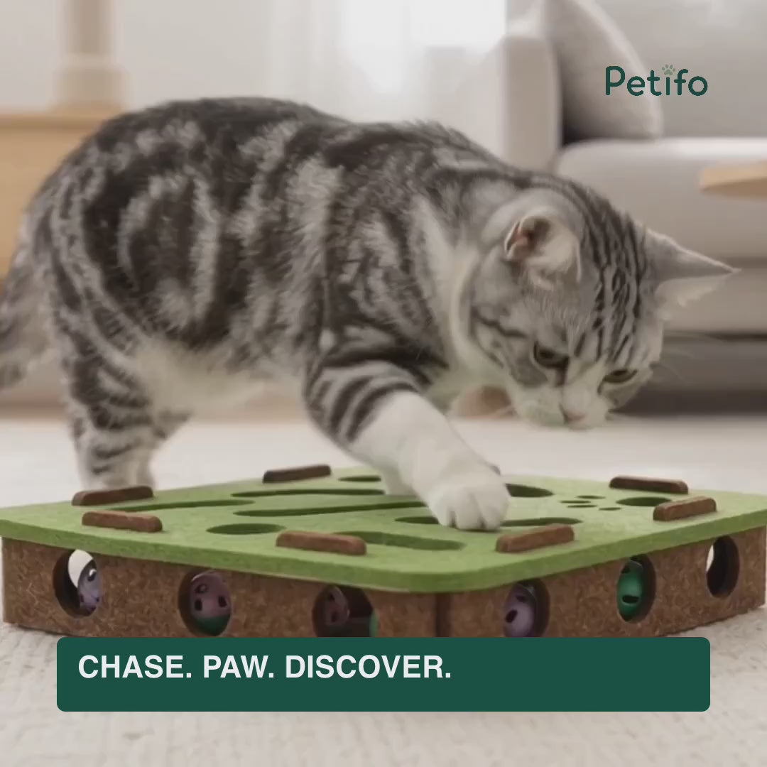 Cat playing with the concealed bell ball inside the Purrnivo felt puzzle - Petifo