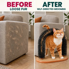 BEFORE and AFTER: loose fur compared with self-directed grooming using the Purrnivo Cat Self-Groomer - Petifo