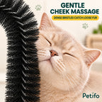 Close-up of flexible bristles on the Purrnivo Cat Self-Groomer - Petifo