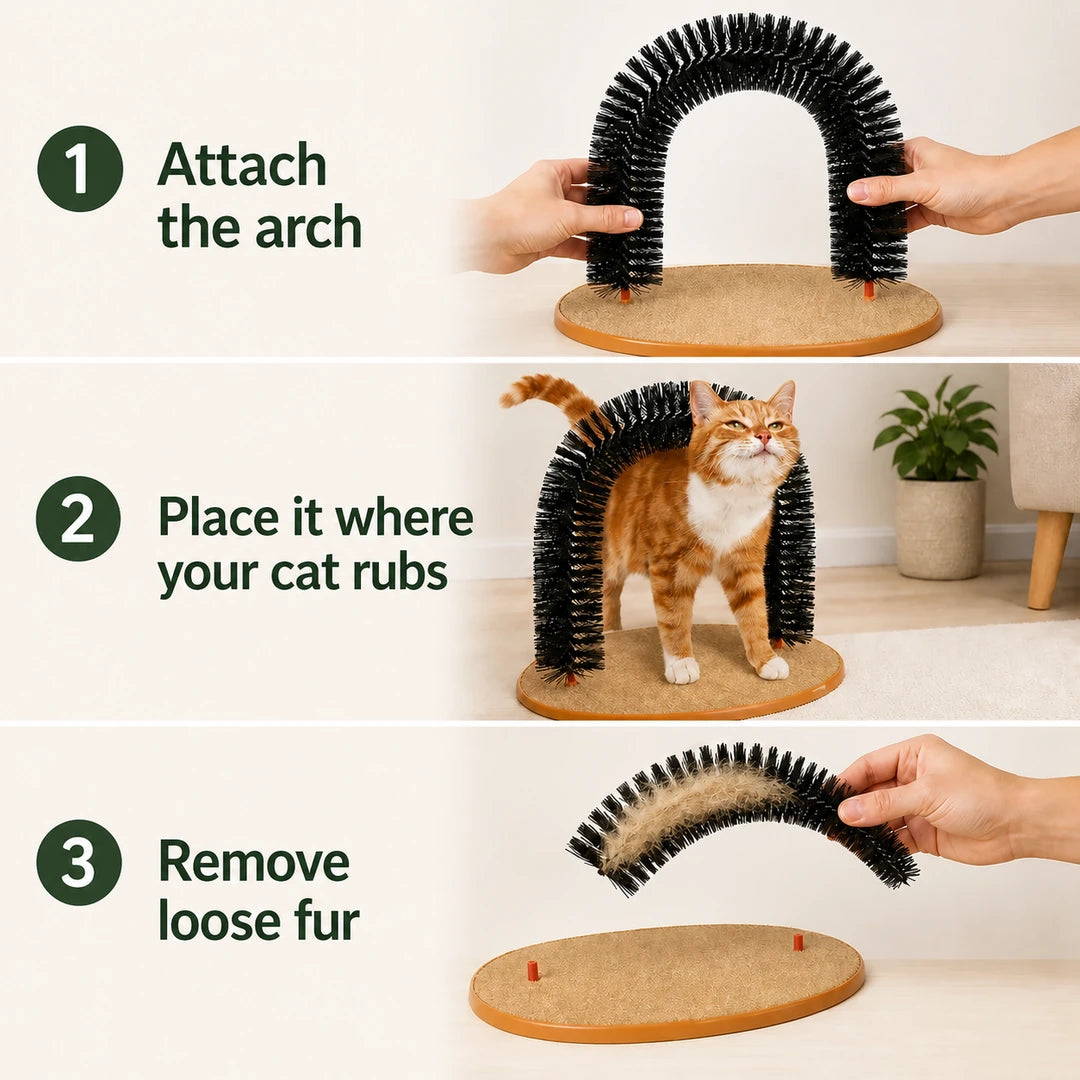 How to assemble, place and clean the Purrnivo cat self-groomer - Petifo