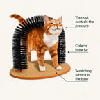 Key features of the Purrnivo cat self-groomer - Petifo