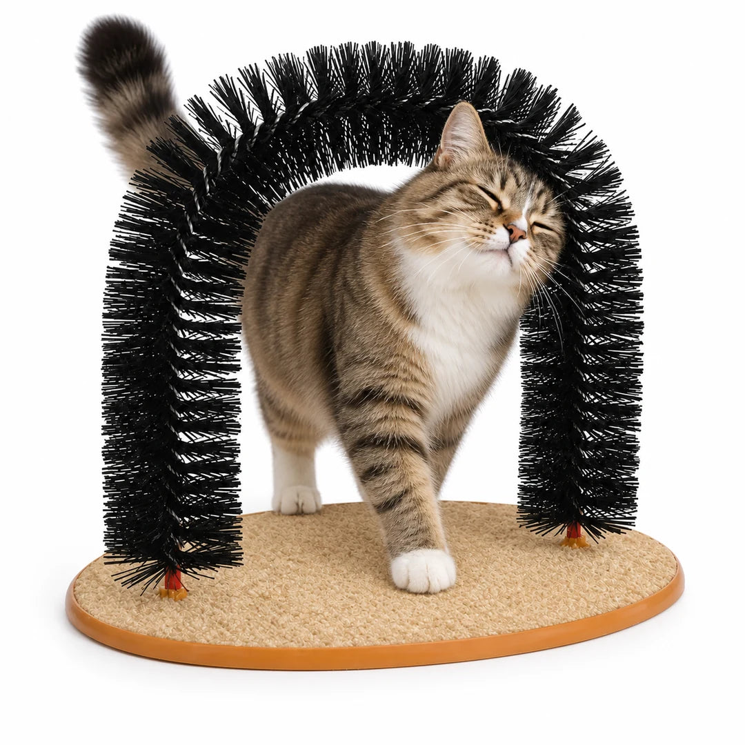 Cat rubbing its cheek through the Purrnivo Cat Self-Groomer on white - Petifo