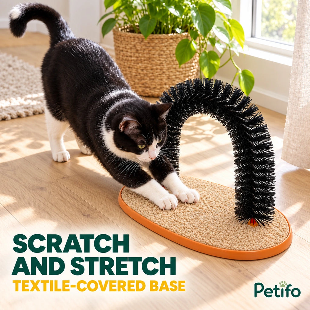 Cat stretching and scratching on the Purrnivo Cat Self-Groomer base - Petifo